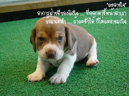 [04143_3[1].jpg]